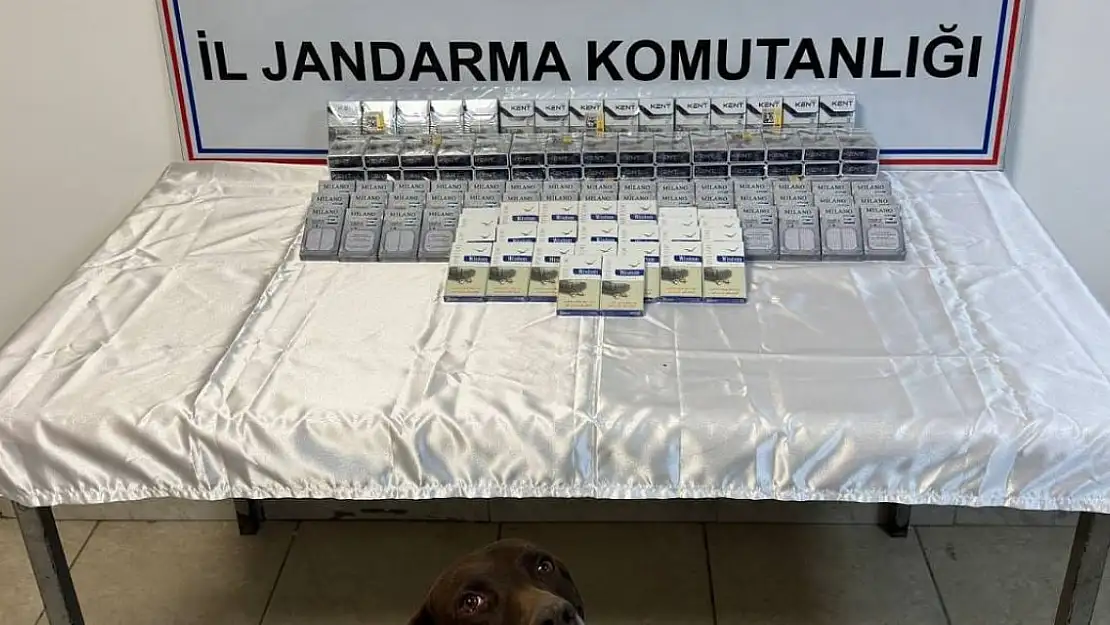 Ağrı'da 1376 paket sigarayı getiren 6 kişi yakalandı