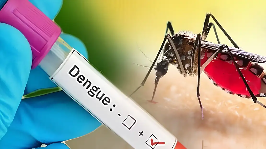Dang Humması Nedir?