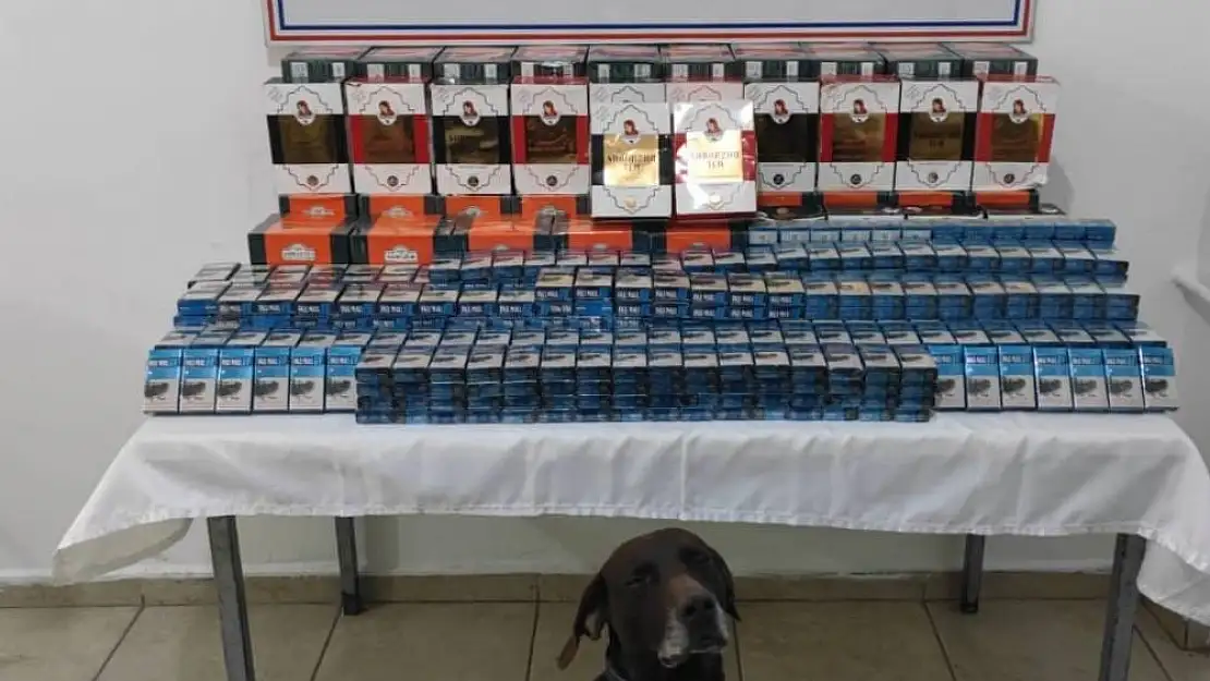 Ağrı'da 1680 paket kaçak sigara ele geçirildi