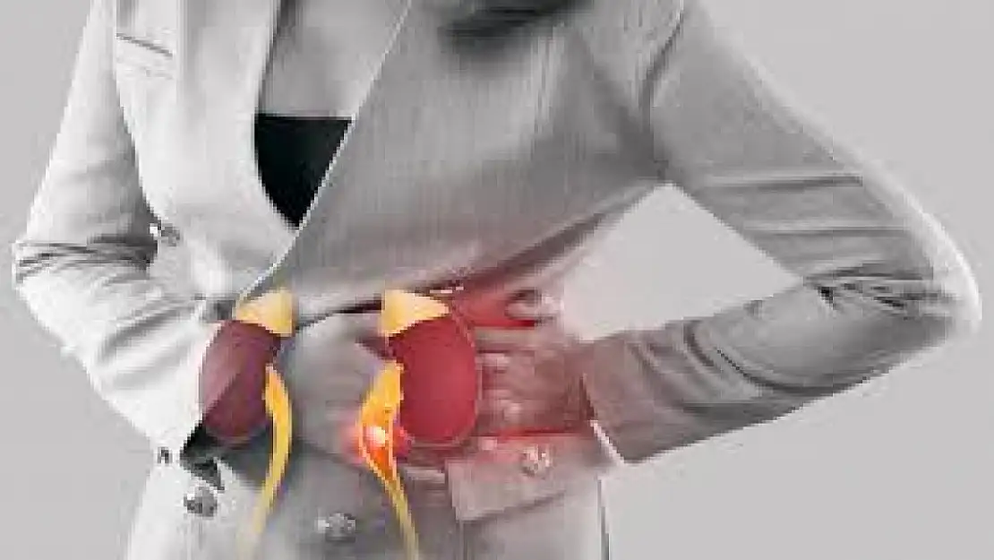 Böbreğini seven bu haberi okusun… Altın değerinde 6 öneri
