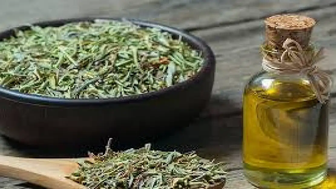 Soğuk kış günlerinin şifası….En etkili doğal antibiyotik bakın nedir?