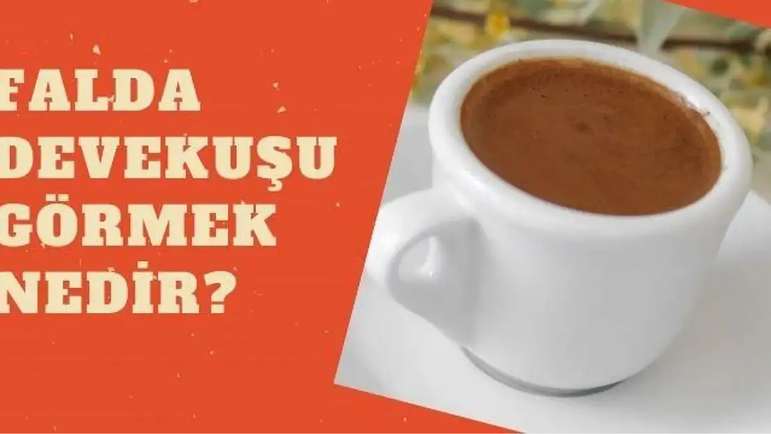 Falda deve kuşu görmek ne demektir? Falda deve kuşu görmek nedir?