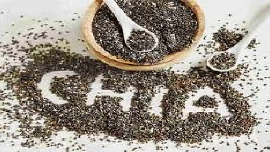 Kanserin düşmanı chia tohumu… Chia tohumu nedir?
