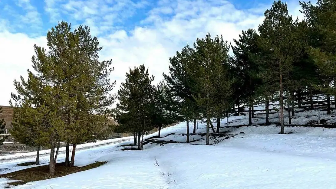 Ağrı'da Kış aylarının son demleri