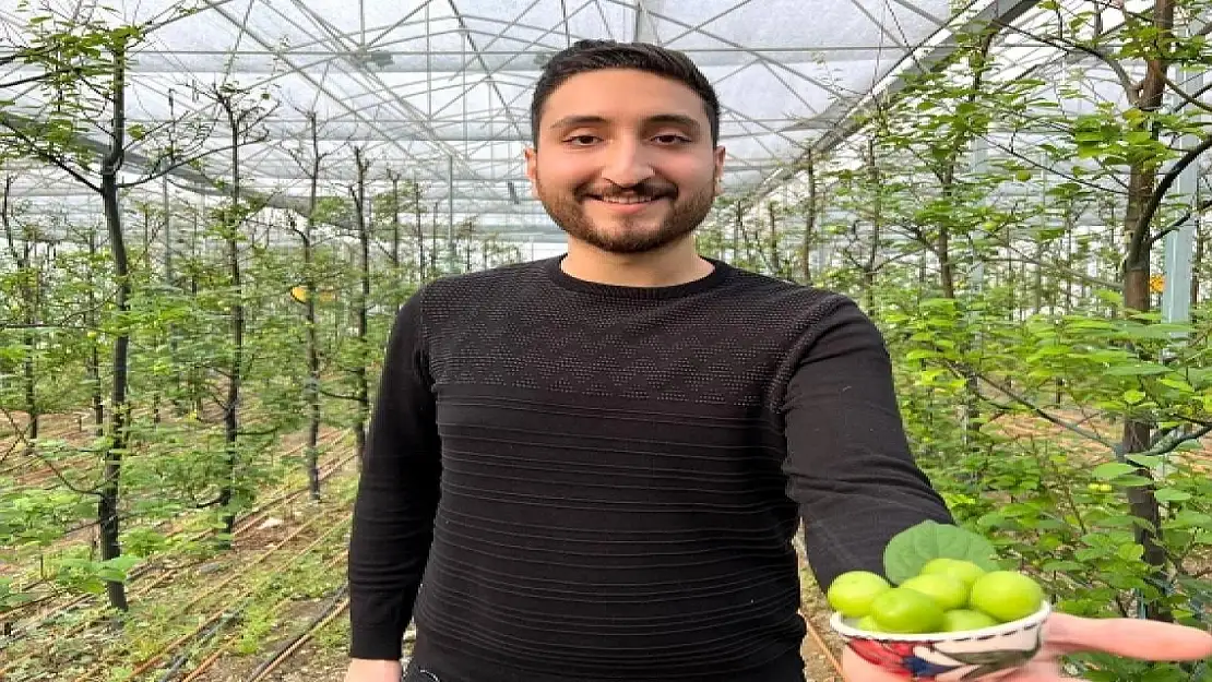 Bu meyvenin fiyatı çeyrek altınla yarışıyor