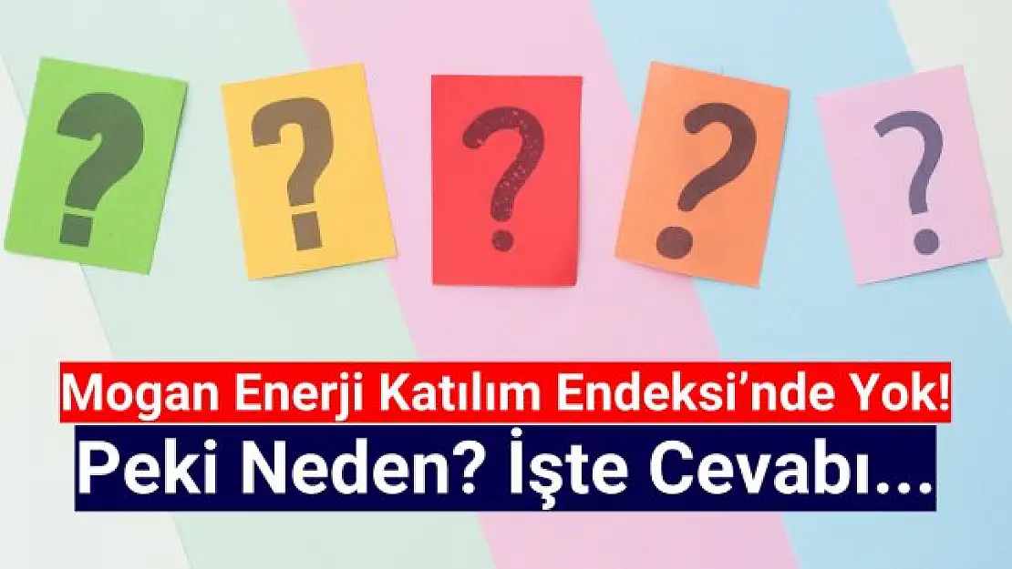 Mogan Enerji Neden Katılım Endeksine Uygun Değil? Sebebi Nedir?