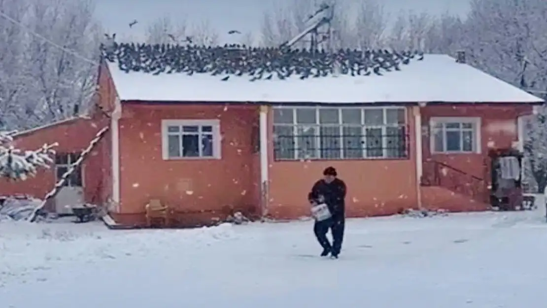 39 yıldır Ağrı'da güvercin besliyor