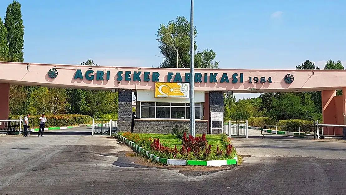 Ağrı Şeker Fabrikası Günlük 3 Bin Ton Kapasiteyle Üretimde