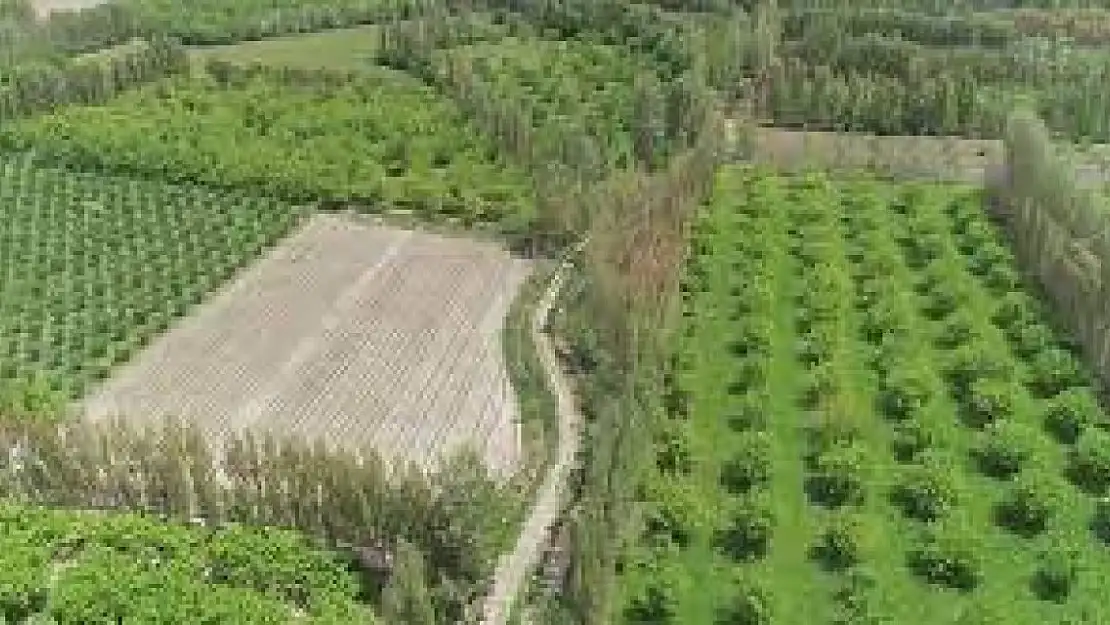 Iğdır'da Tarım Sezonu Başladı