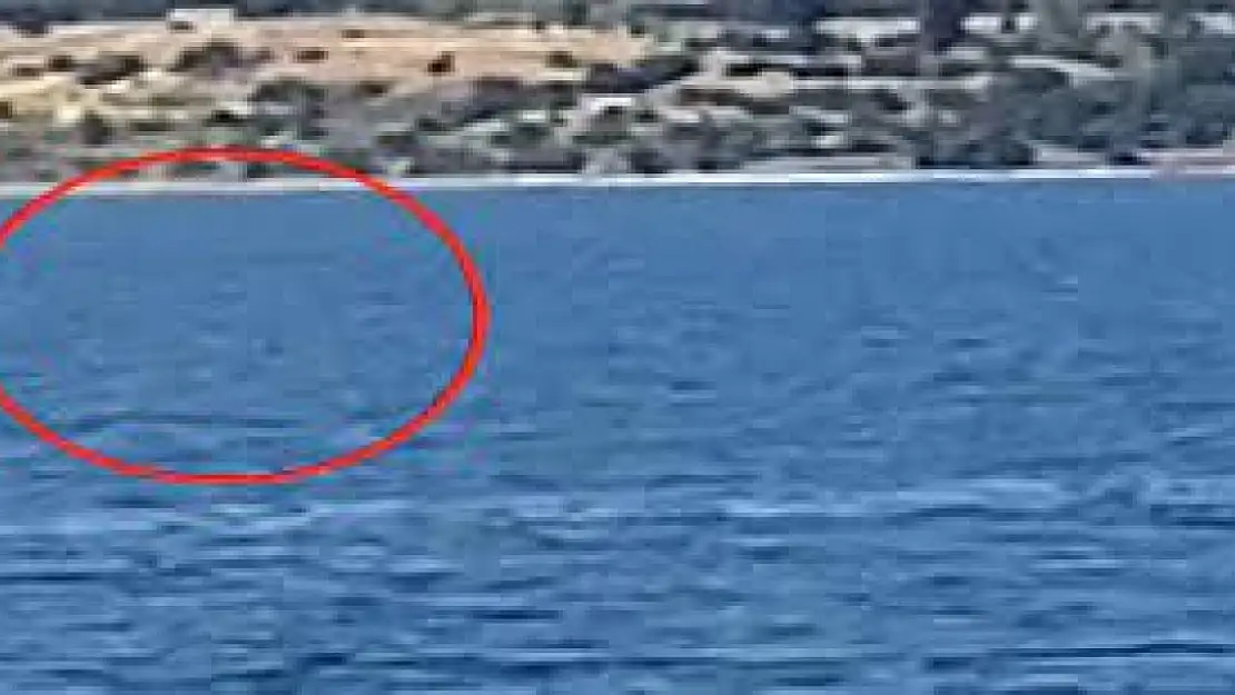 Van'ın gündemden düşmeyen efsanesi: Van Gölü Canavarı