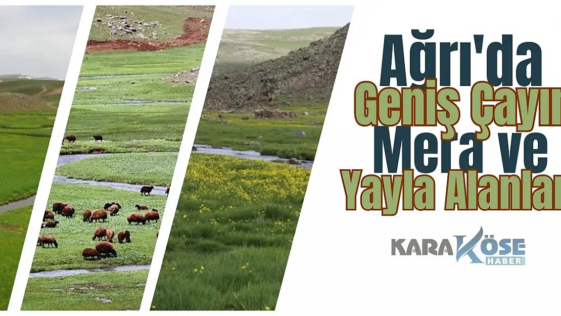 Ağrı Çayır, Mera ve Yayla Alanları ile Türkiye'nin zirvesinde
