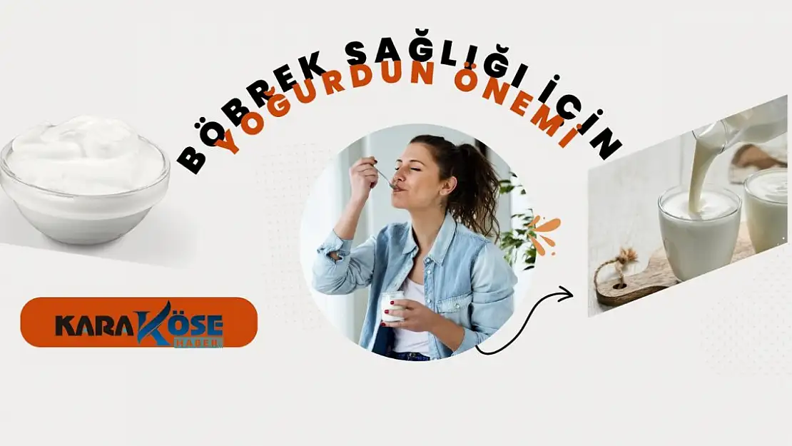 Böbrek Sağlığı İçin Yoğurdun Önemi