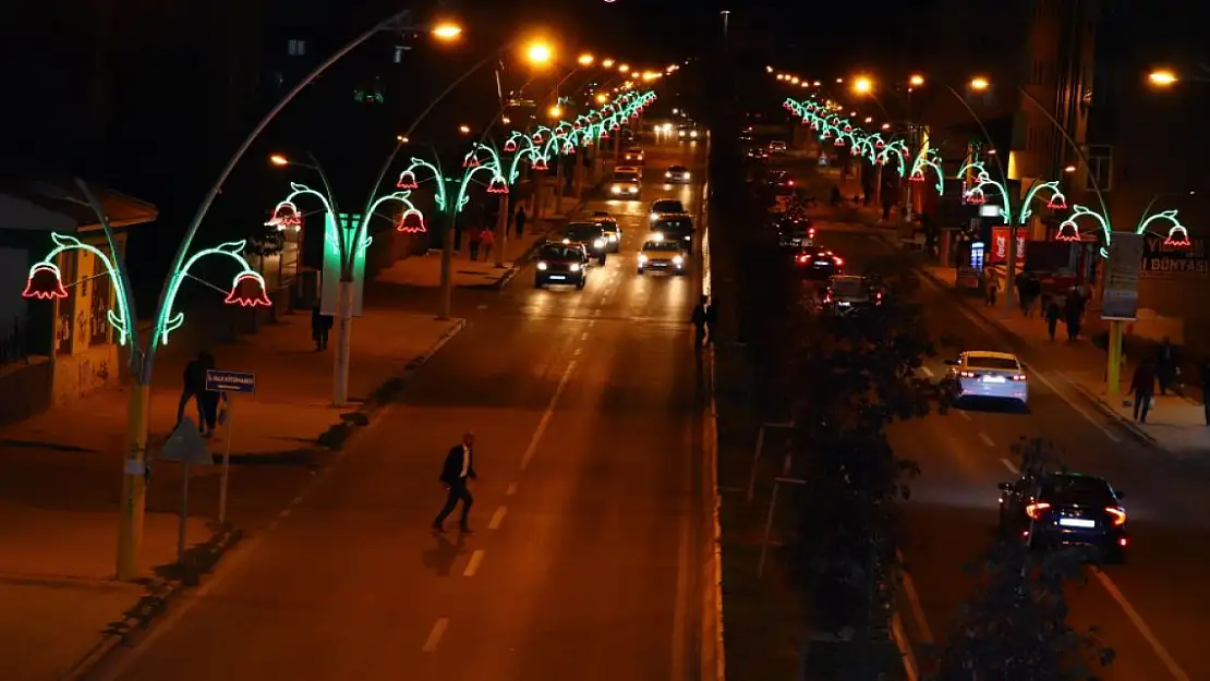 Ağrı'da araç mı fazla, Yollar mı dar?