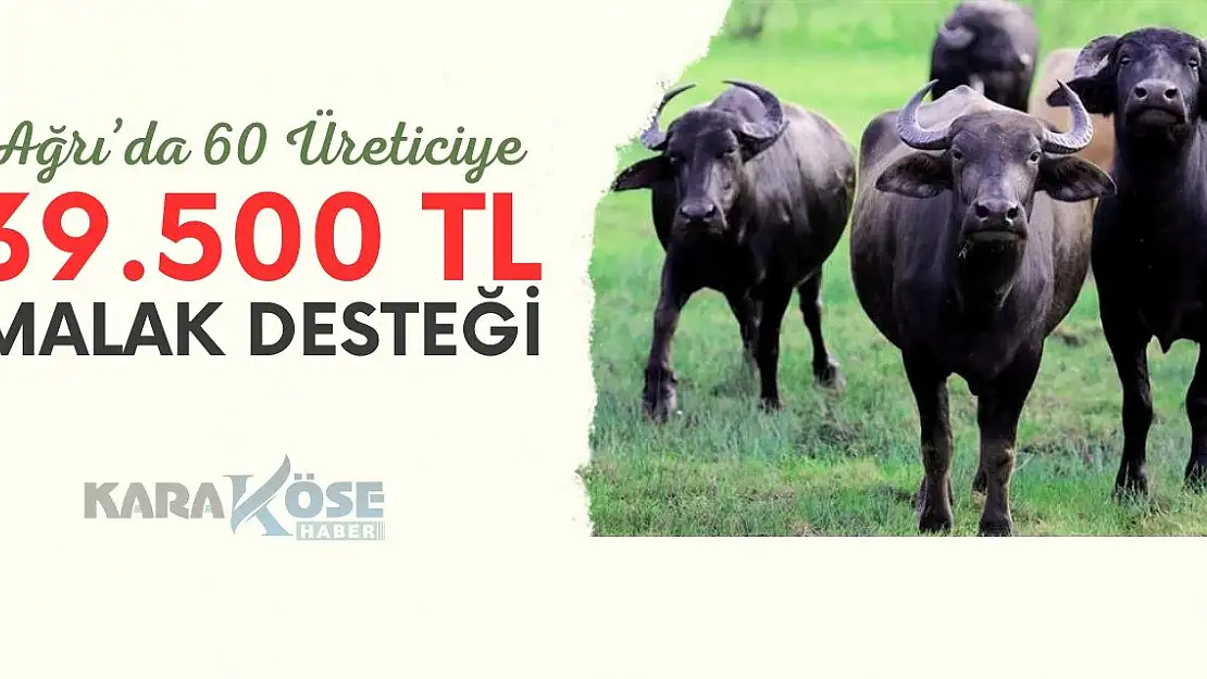 Ağrı'da 60 Üreticiye 39.500 TL Malak Desteği