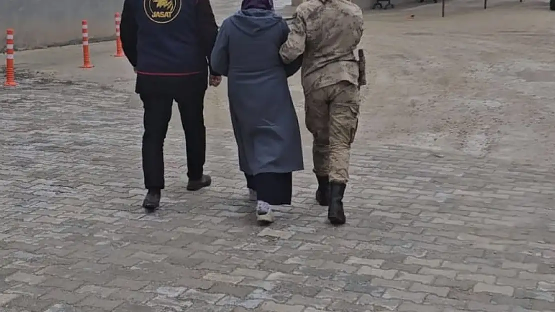 5 İlin Jandarması Ağrı'da Operasyon yaptı! 27 Gözaltı