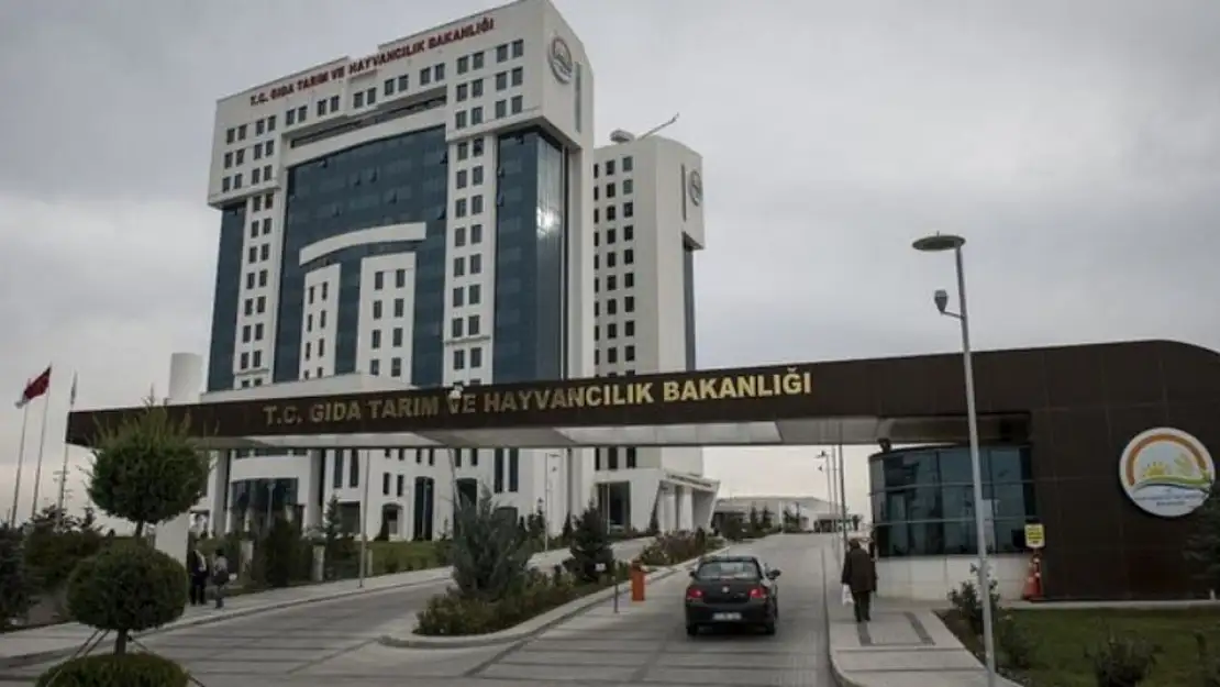 Orman Genel Müdürlüğü İçin Büyük Fırsat: 861 Yeni Personel Alımı Başlıyor!