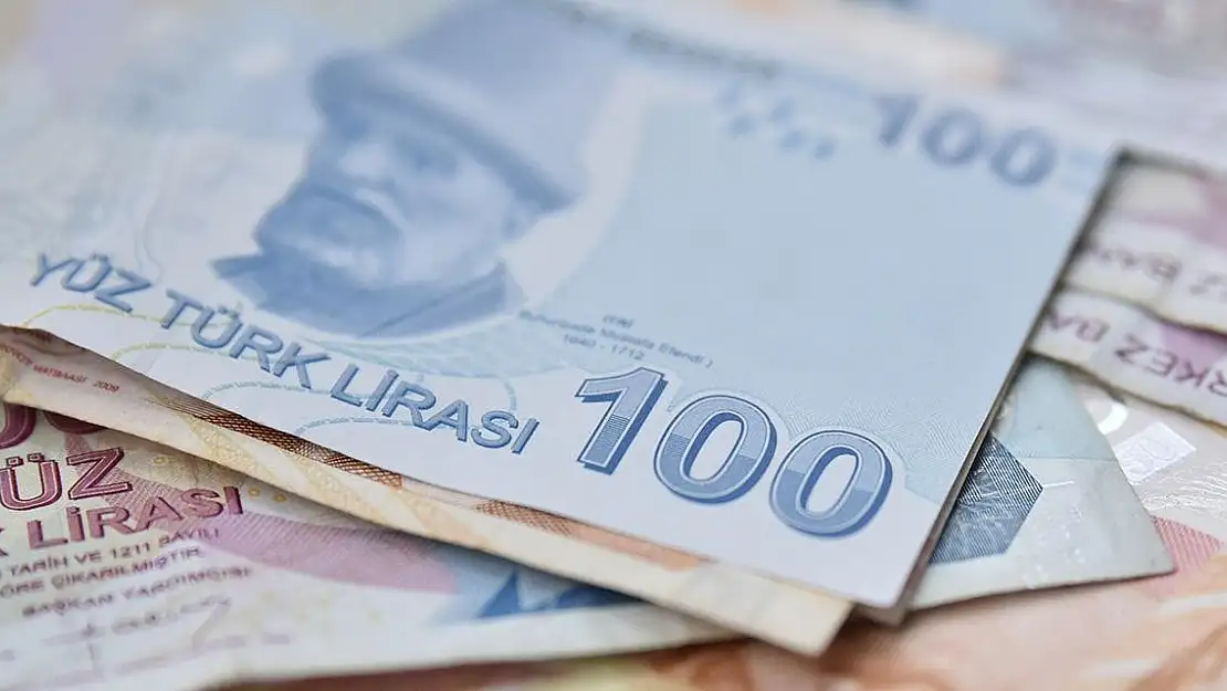 Sosyal ve Ekonomik Destek Ödemeleri bugün hesaplarda