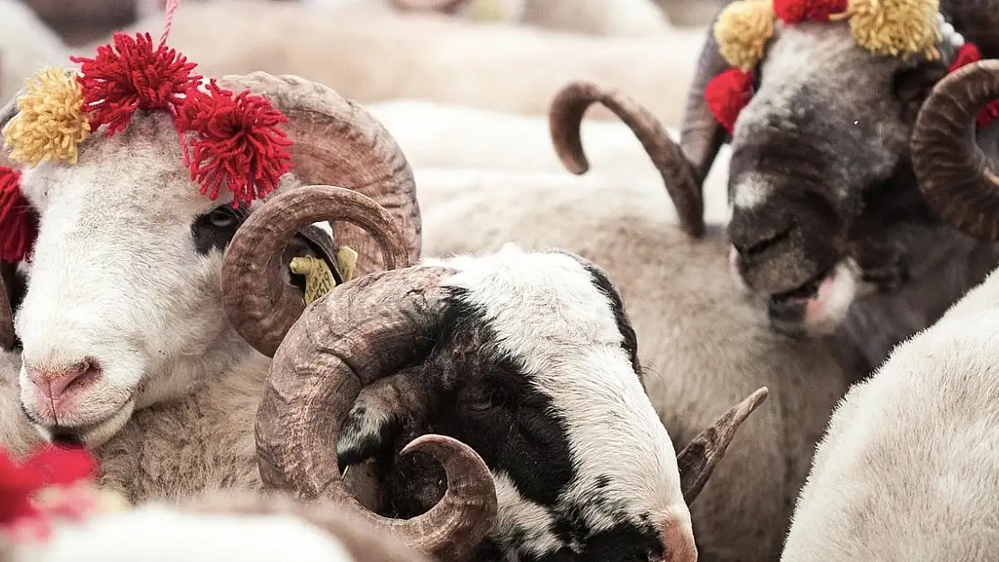 Kurban Bayramı ne zaman? Kurban Bayramı tatili ne zaman başlayacak?