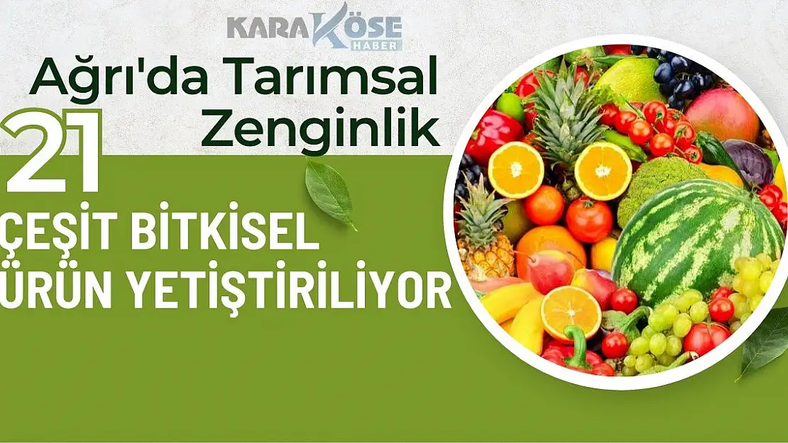 Ağrı'da Tarımsal Zenginlik: 21 Çeşit Bitkisel Ürün Yetiştiriliyor