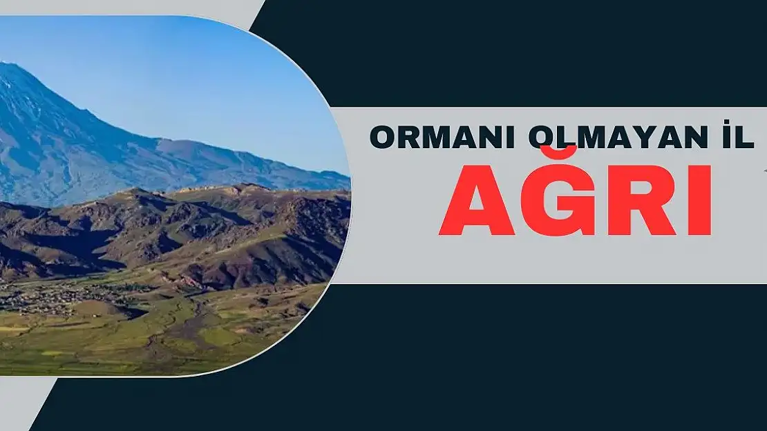 Ormanı Olmayan İl: Ağrı