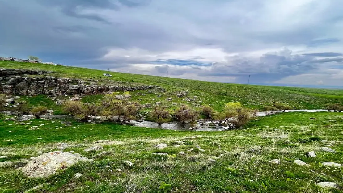 Ağrı'ya bahar geldi!