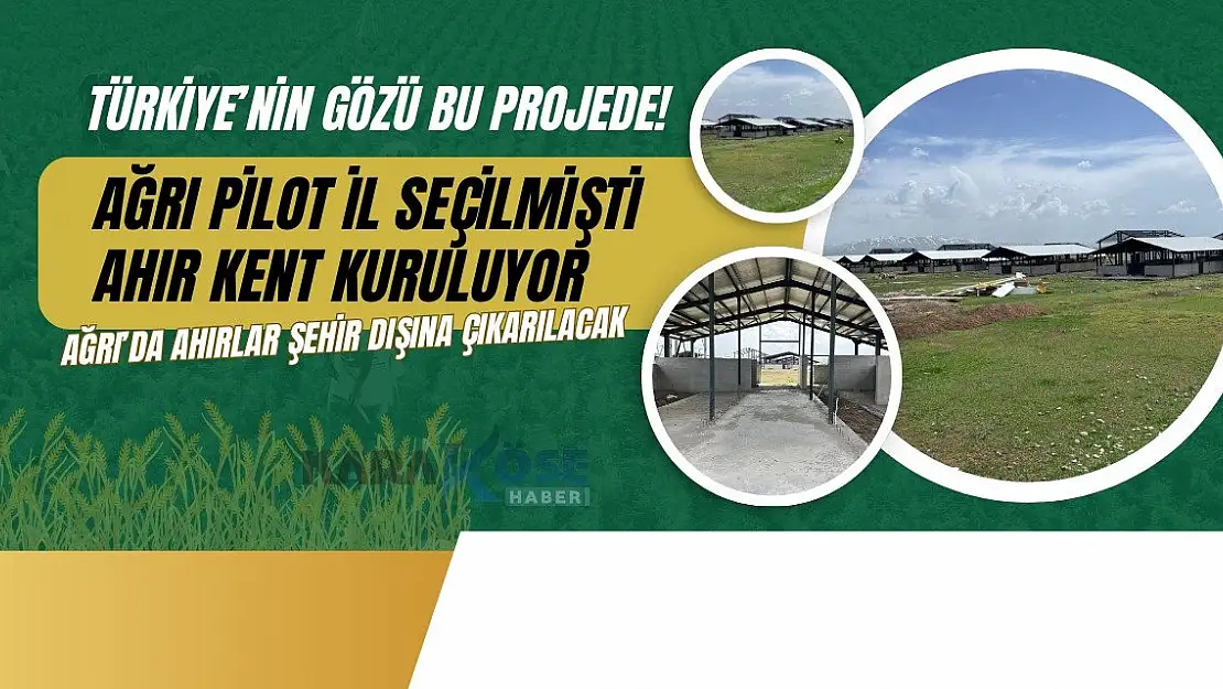 Türkiye'nin gözü bu projede! Ağrı Pilot İl Seçilmişti