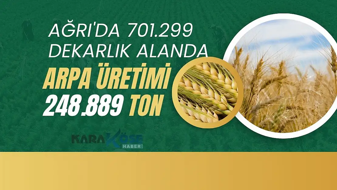 Ağrı'da 701.299 Dekarlık Alanda 248.889 Ton Arpa Üretimi