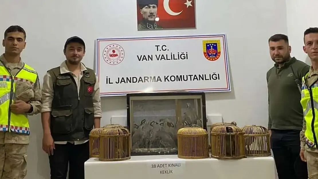 Kafes avcıları jandarmaya takıldı