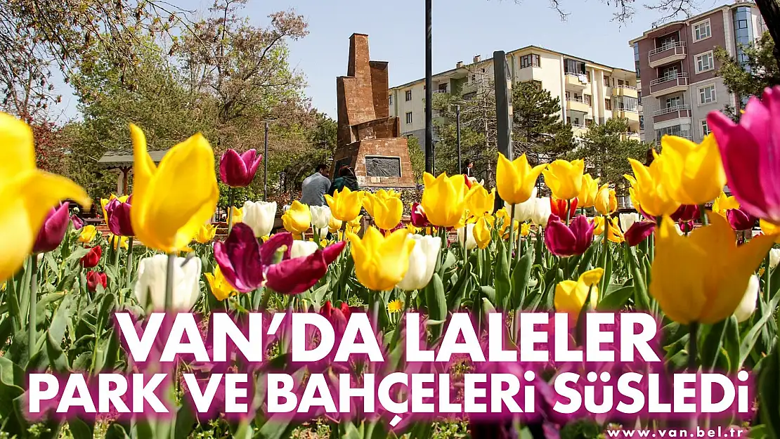 VAN'DA LALELER PARK VE BAHÇELERİ SÜSLEDİ