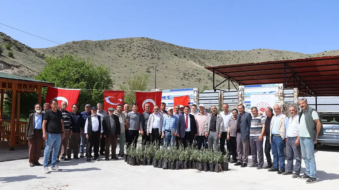 Çiftçiye zeytin fidanı desteği