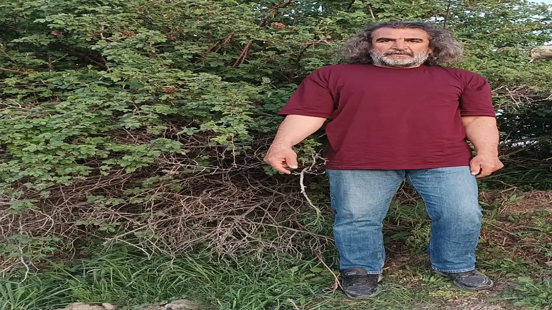 Ağrılılara doğayı bozmayın uyarısı