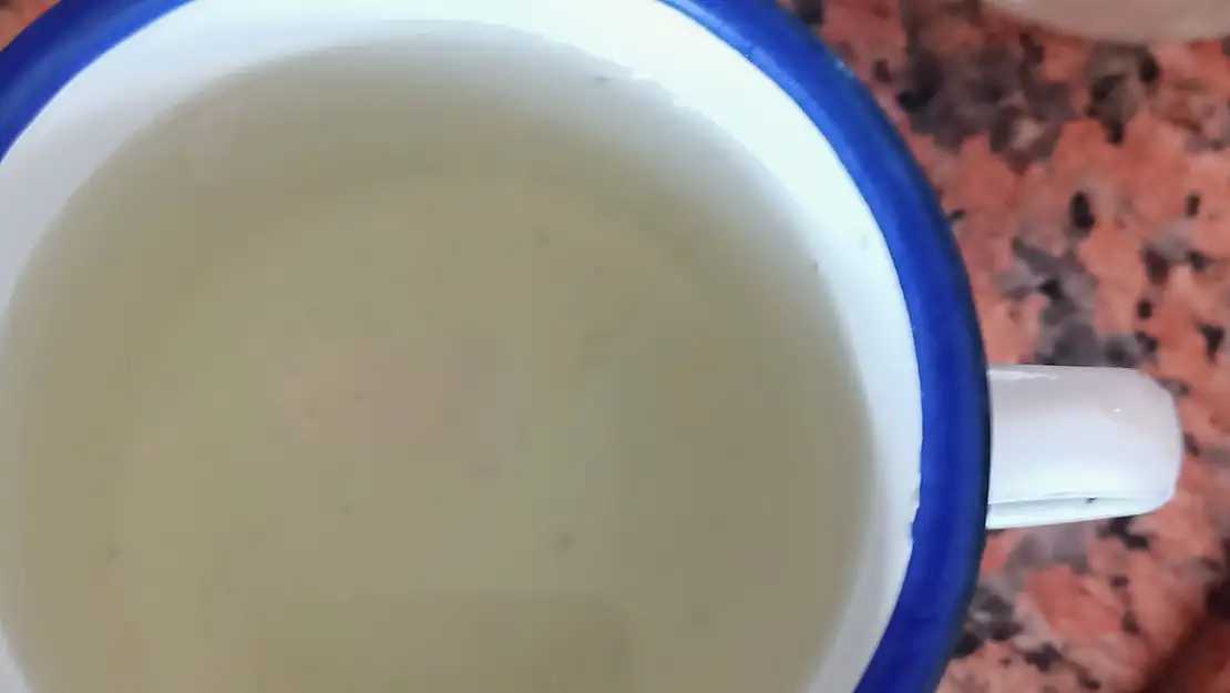 Ağrı'da sular kirli akıyor