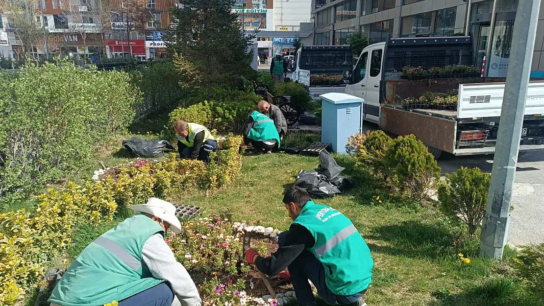 Yeşilin ve doğanın dostu İpekyolu Belediyesi