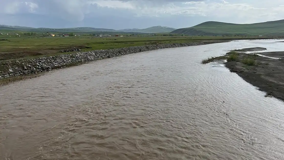 Murat Nehri çamura boyandı
