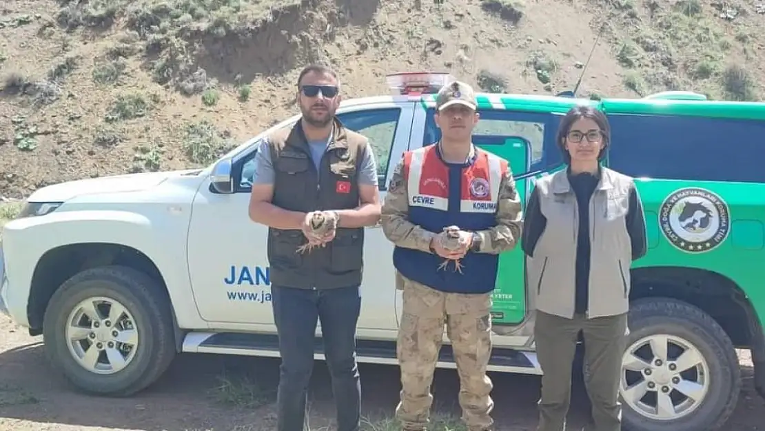 Bitlis'te keklik avlayan 2 kişiye 26 bin 635 lira para cezası uygulanacak