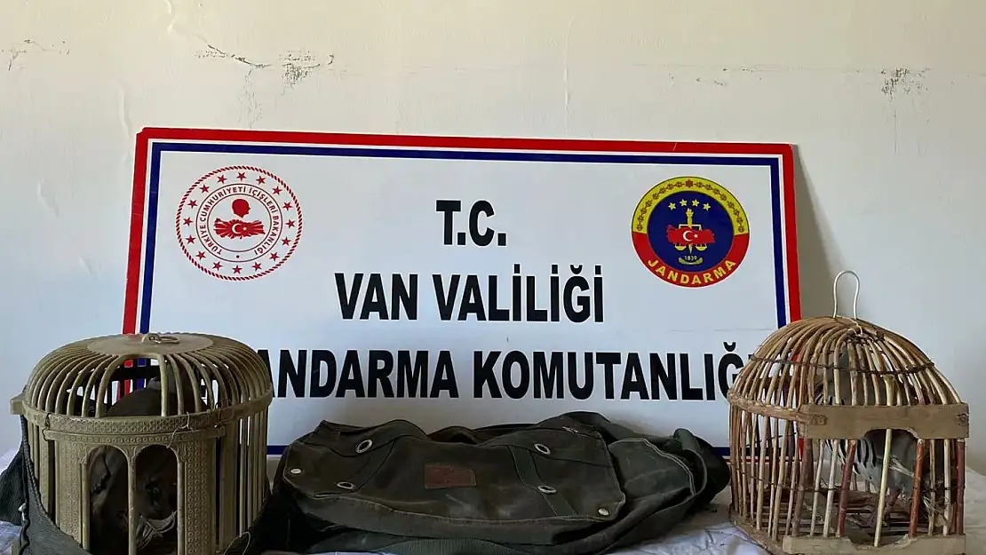 Kafes avcısına ceza yağdı