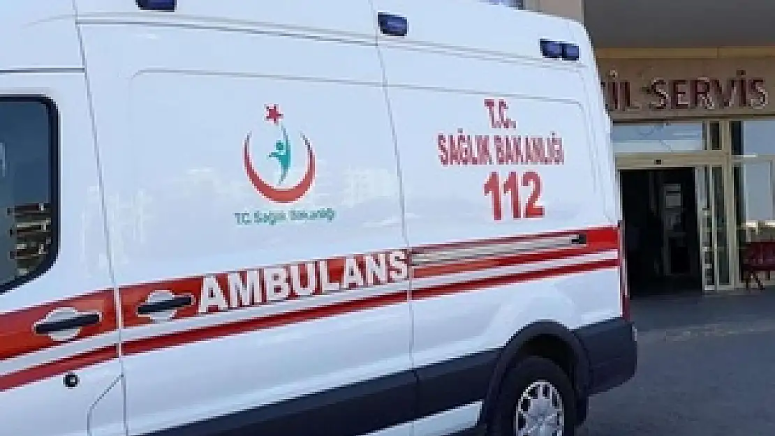 Kars'ta feci kaza: Büyükbaş hayvanlara çarptı