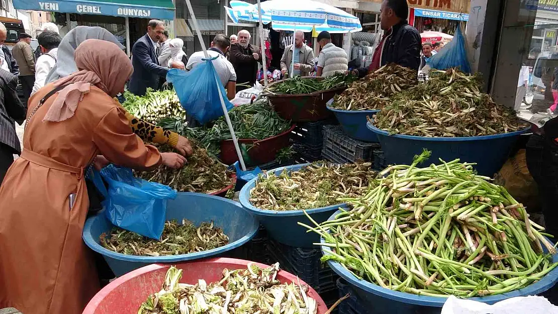 Van'da şifalı otlara büyük ilgi