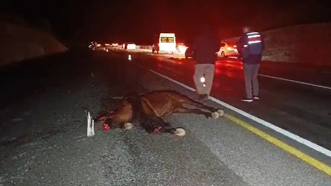 Otomobil ata çarptı: Kazada 1 kişi hayatını kaybetti