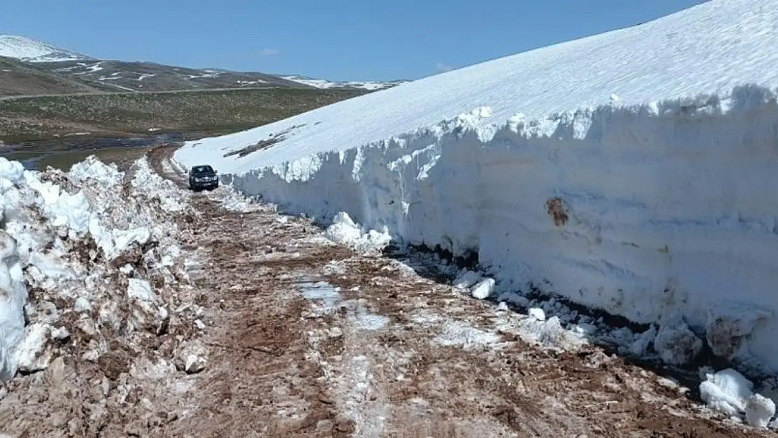 Mayıs ayında Ağrı'da kar temizliği