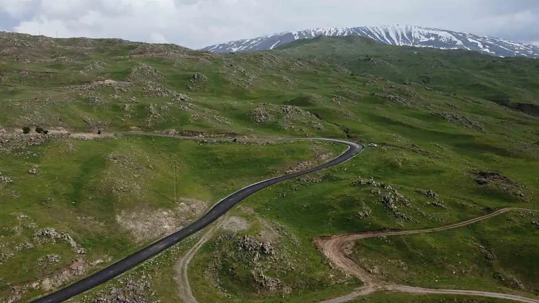 Doğunun Çukurova'sı yeşile büründü