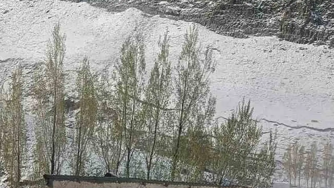Ağrı'da Mayıs ayında kar yağdı