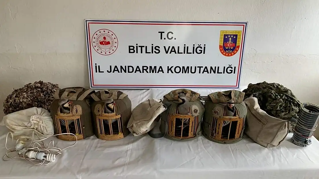 Keklik avlayan kişilere ceza yağdı