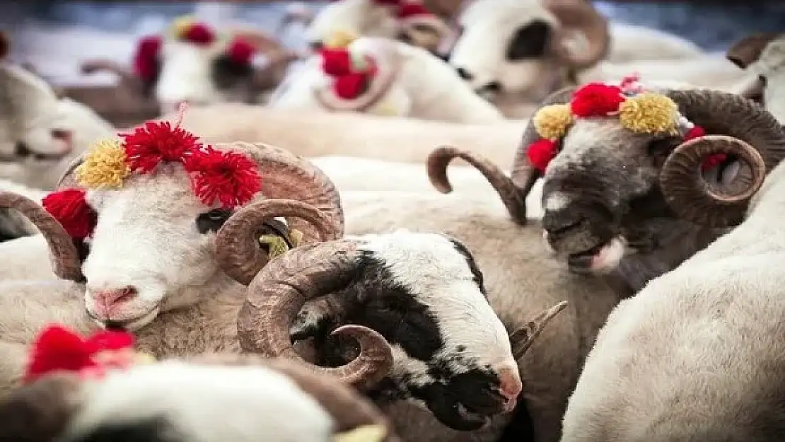 Kurban Bayramı ikramiyesi ne kadar? Kurban Bayramı ikramiyesi ödeme tarihi belli oldu mu?