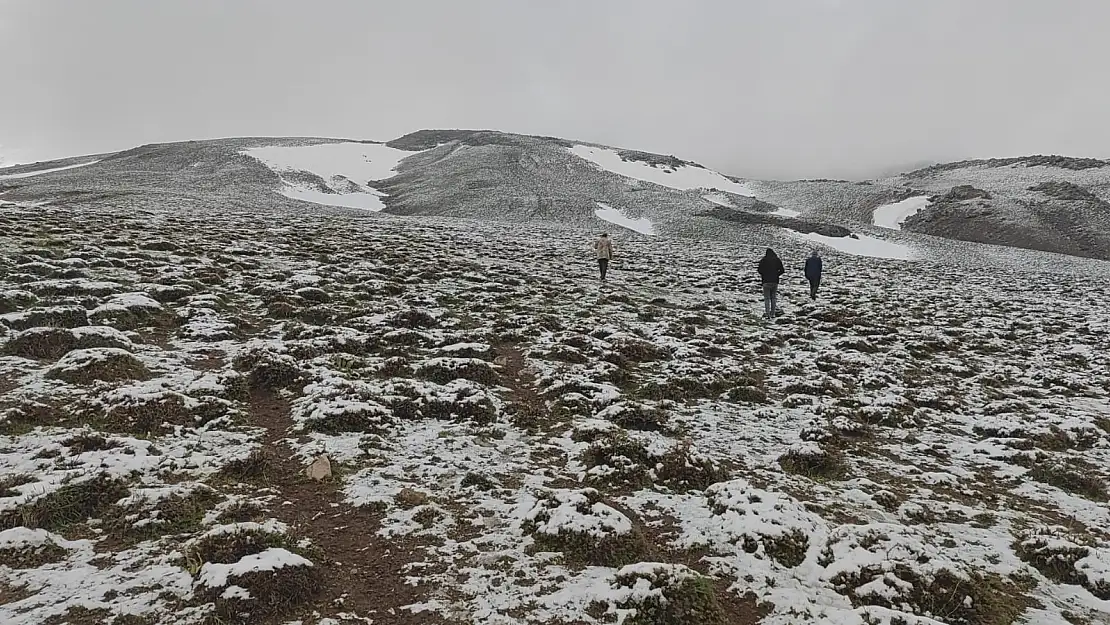Bitlis'in yüksek kesimleri beyaza büründü