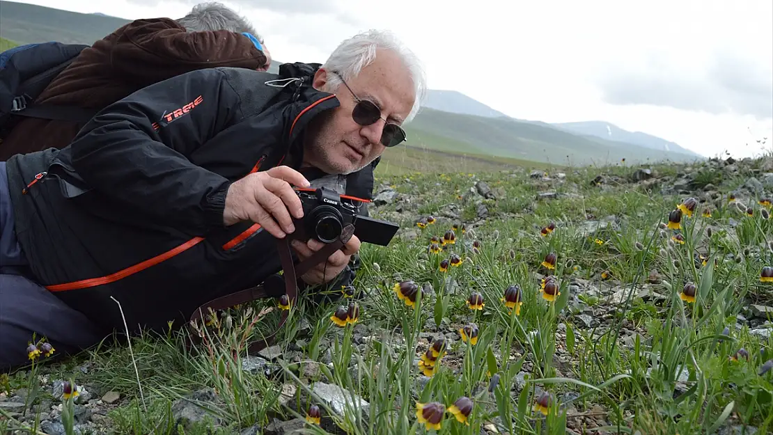 Karayazı'ya özgü ters laleyi 2 bin rakımda fotoğrafladılar