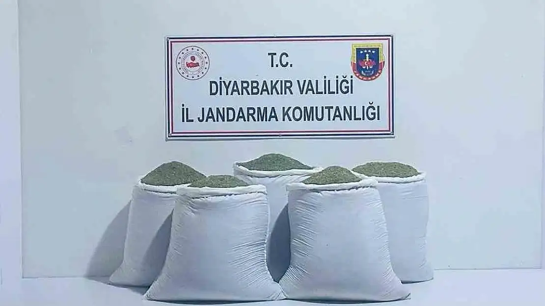 Diyarbakır'da 230 kilo toz esrar ele geçirildi