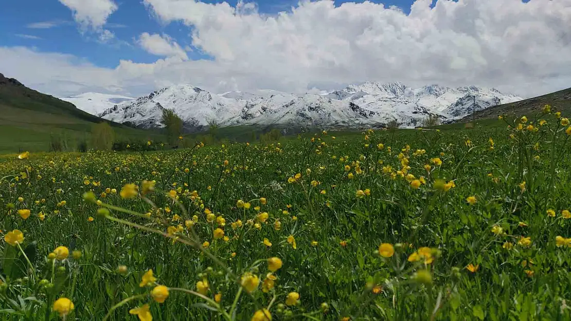 Doğu'nun dağlarında kış ovalarında bahar