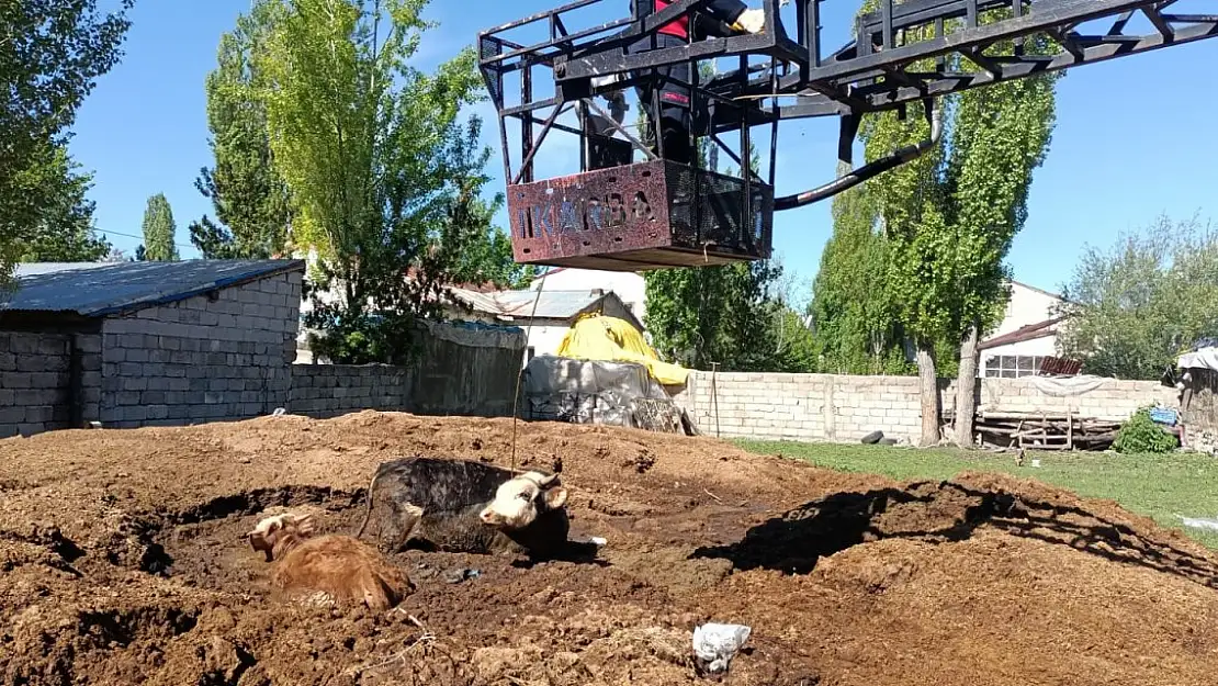 Ağrı İtfaiyesi bataklıkta kalan hayvanları kurtardı