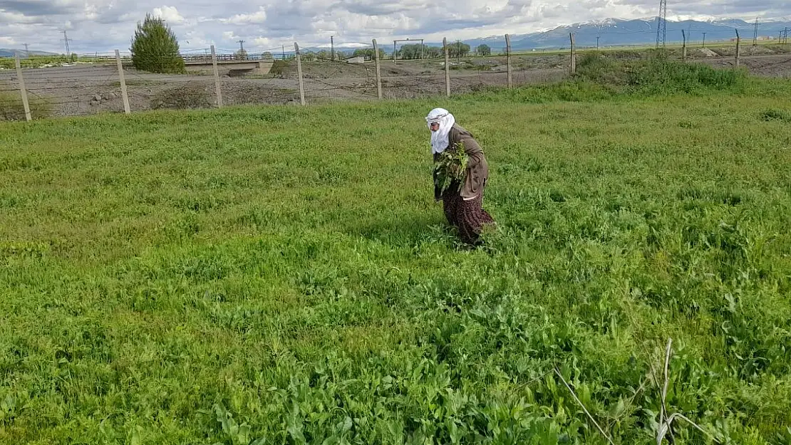 Ağrılı Kadınlar yöresel yemekler için doğada